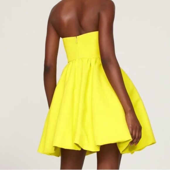 NWT Sachin & Babi Bubble Hem Split Corset Neon
Green Strapless Mini-B4/5 - Picture 4 of 10